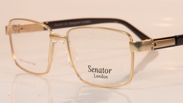 Senator 236 | C4 Gold | Side | Faversham Optical