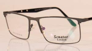 Senator 246 | C2 Gunmetal | Side | Faversham Optical