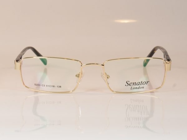 senator 223 glasses