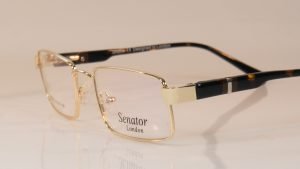 senator 223 glasses